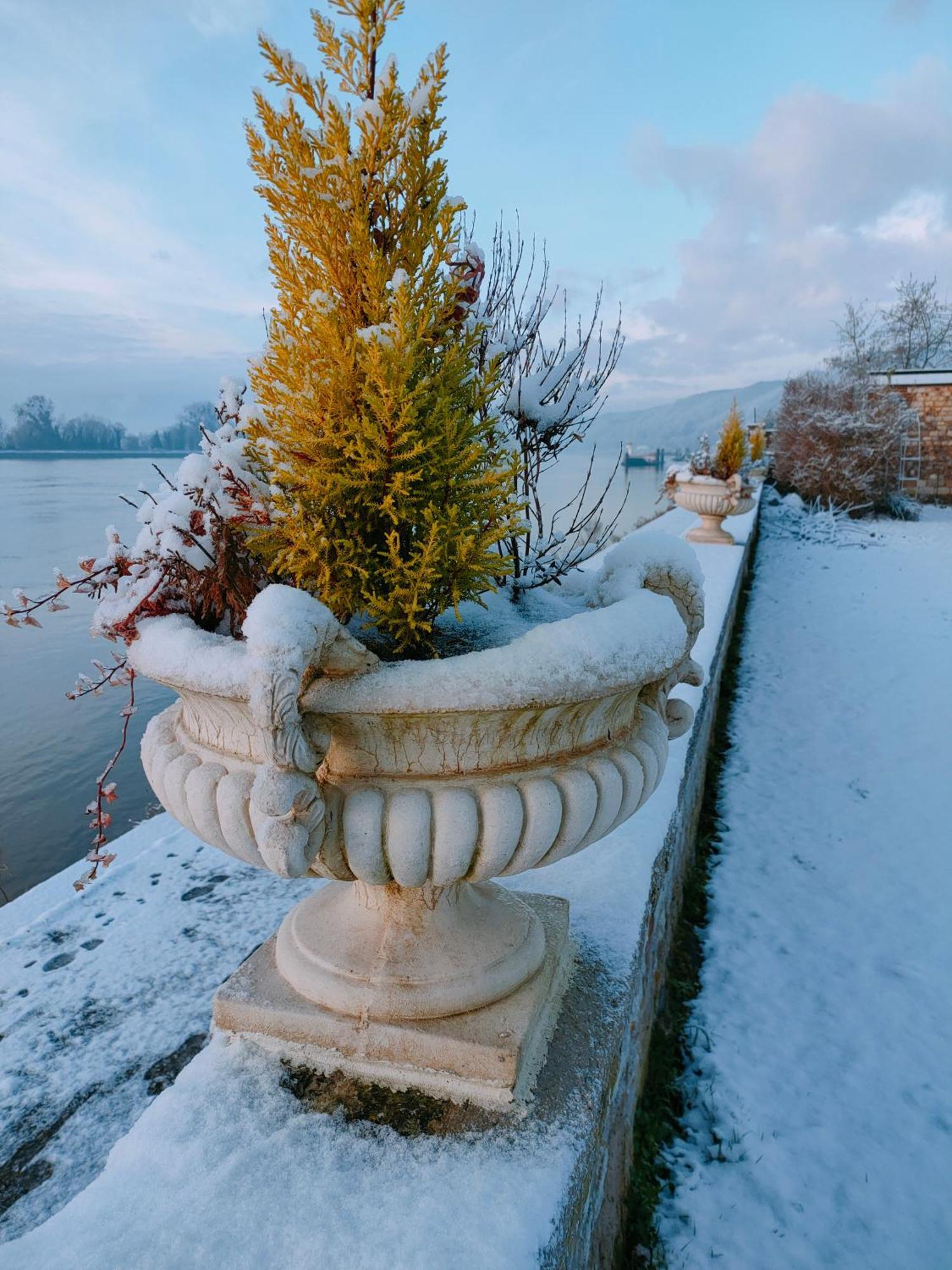Demeure En Seine - Gites Et Chambres D'Hote En Bord De Seine 考克斯的卡德贝克 客房 照片